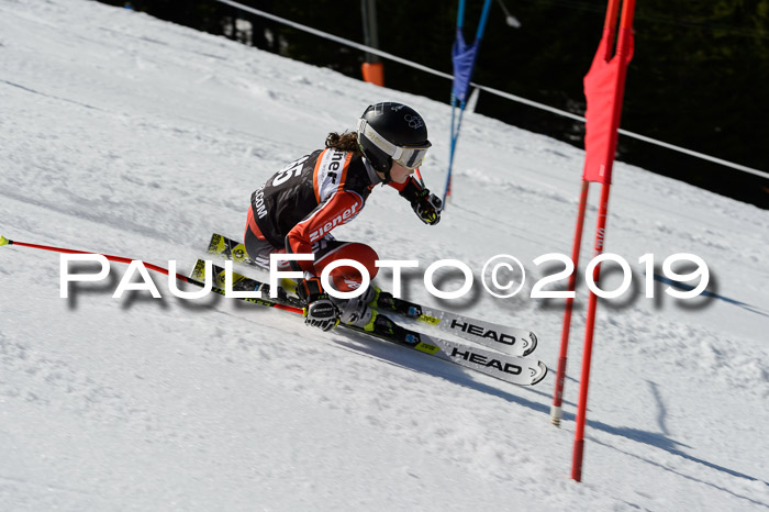 Ziener Cup WF,Finale, Quali + PSL, 30.03.2019