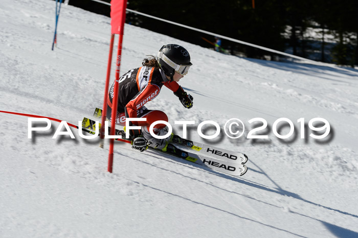 Ziener Cup WF,Finale, Quali + PSL, 30.03.2019