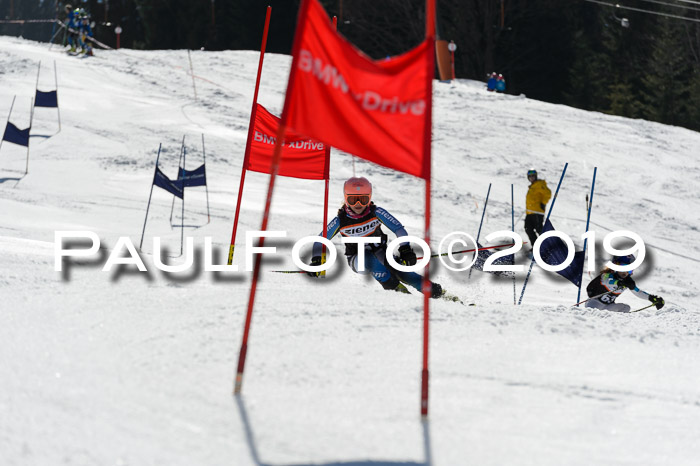 Ziener Cup WF,Finale, Quali + PSL, 30.03.2019