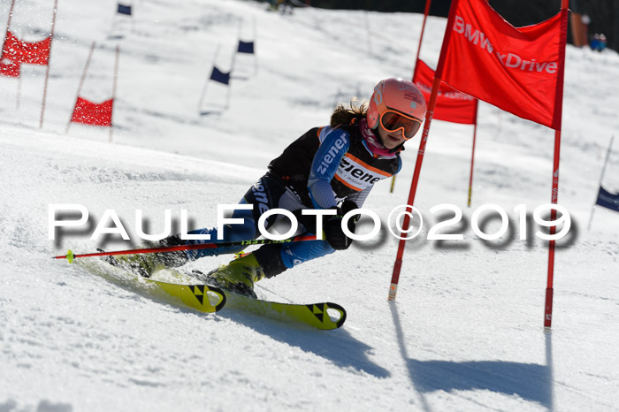 Ziener Cup WF,Finale, Quali + PSL, 30.03.2019