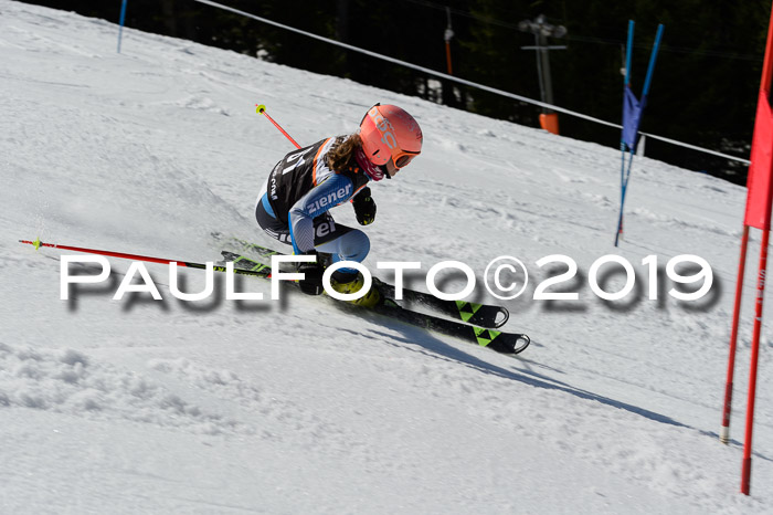 Ziener Cup WF,Finale, Quali + PSL, 30.03.2019