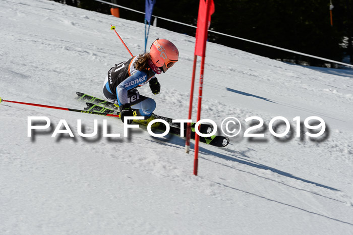 Ziener Cup WF,Finale, Quali + PSL, 30.03.2019
