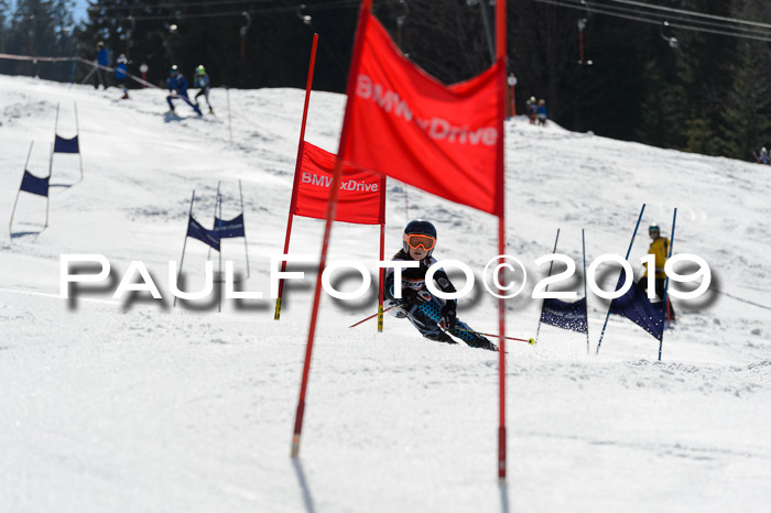 Ziener Cup WF,Finale, Quali + PSL, 30.03.2019