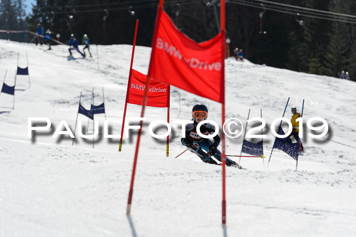 Ziener Cup WF,Finale, Quali + PSL, 30.03.2019