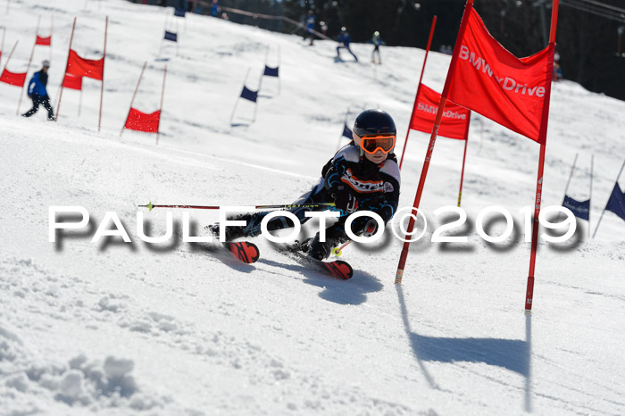 Ziener Cup WF,Finale, Quali + PSL, 30.03.2019