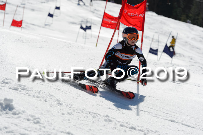 Ziener Cup WF,Finale, Quali + PSL, 30.03.2019
