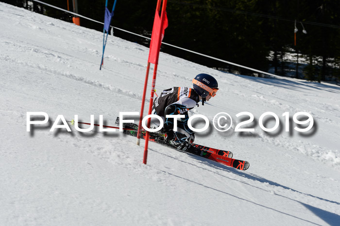Ziener Cup WF,Finale, Quali + PSL, 30.03.2019