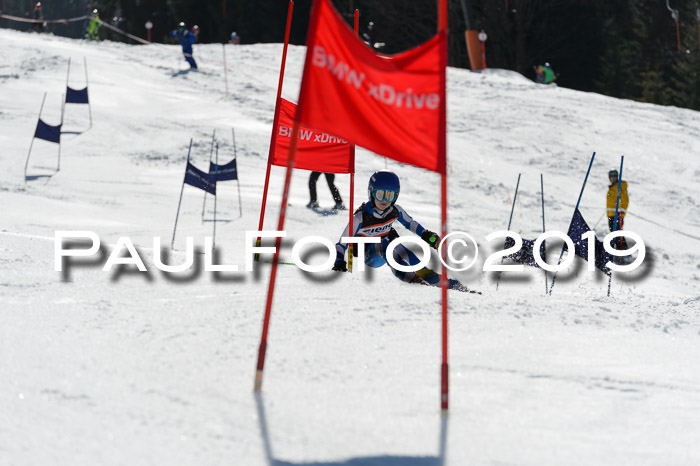 Ziener Cup WF,Finale, Quali + PSL, 30.03.2019
