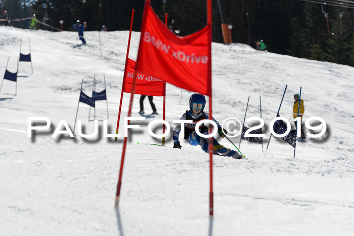 Ziener Cup WF,Finale, Quali + PSL, 30.03.2019