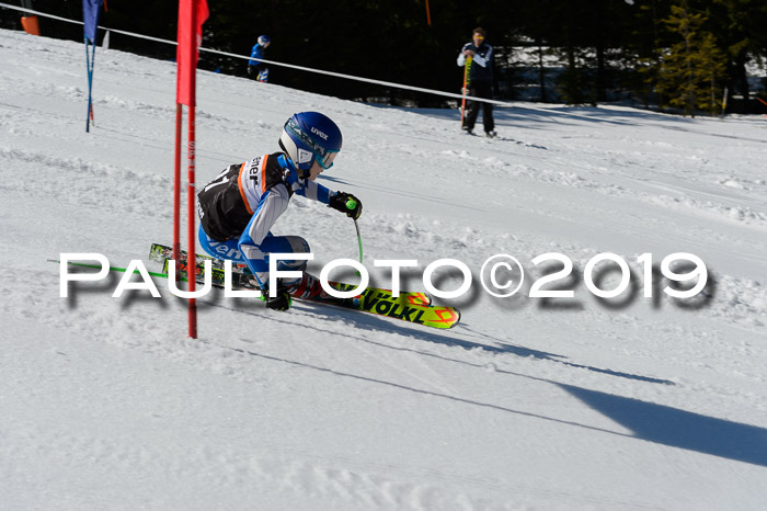 Ziener Cup WF,Finale, Quali + PSL, 30.03.2019
