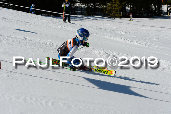 Ziener Cup WF,Finale, Quali + PSL, 30.03.2019
