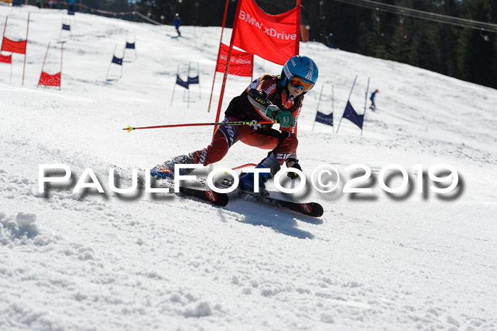 Ziener Cup WF,Finale, Quali + PSL, 30.03.2019