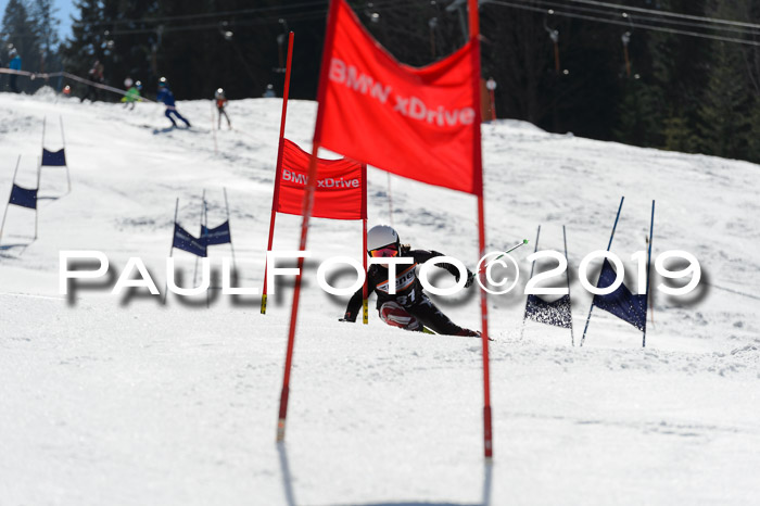 Ziener Cup WF,Finale, Quali + PSL, 30.03.2019
