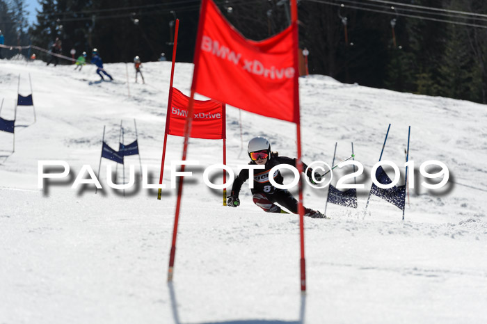 Ziener Cup WF,Finale, Quali + PSL, 30.03.2019