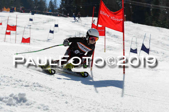 Ziener Cup WF,Finale, Quali + PSL, 30.03.2019