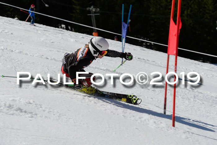 Ziener Cup WF,Finale, Quali + PSL, 30.03.2019