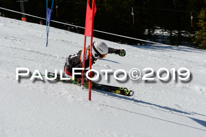 Ziener Cup WF,Finale, Quali + PSL, 30.03.2019