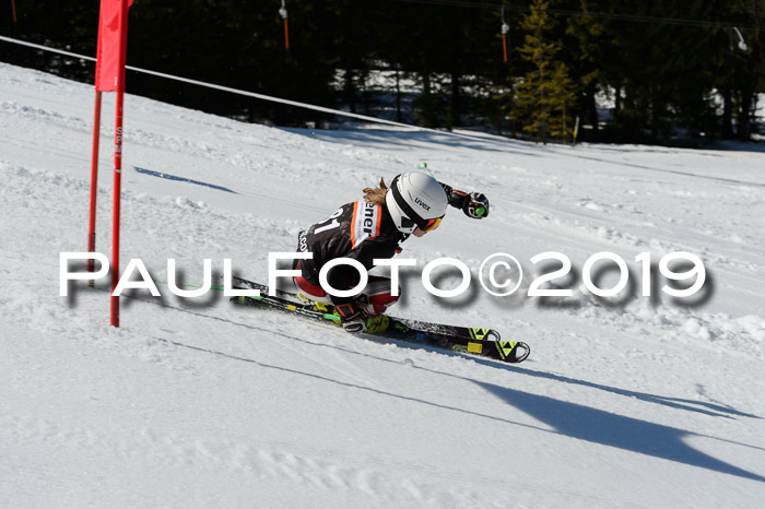 Ziener Cup WF,Finale, Quali + PSL, 30.03.2019