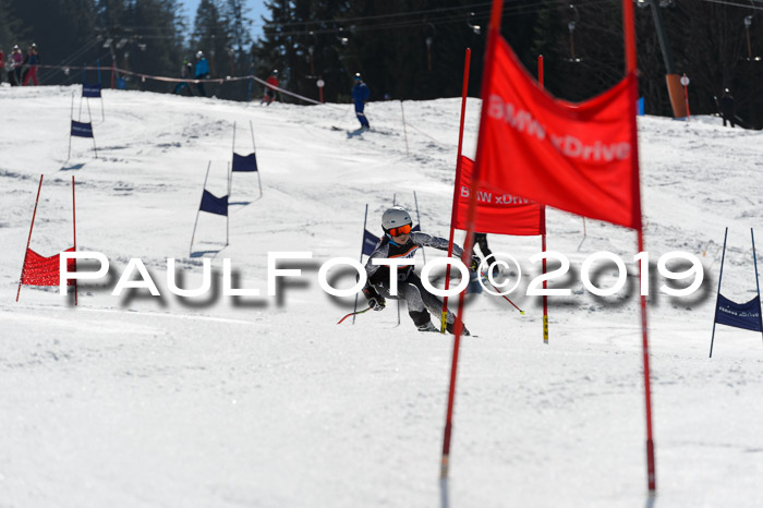 Ziener Cup WF,Finale, Quali + PSL, 30.03.2019