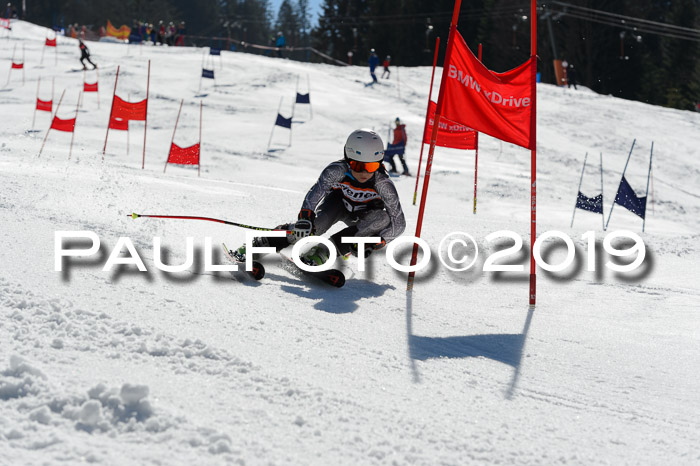 Ziener Cup WF,Finale, Quali + PSL, 30.03.2019