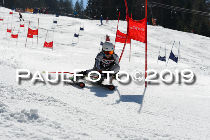 Ziener Cup WF,Finale, Quali + PSL, 30.03.2019