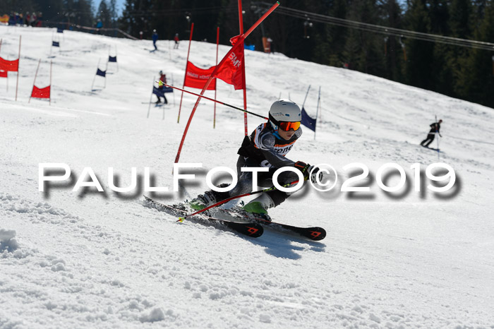 Ziener Cup WF,Finale, Quali + PSL, 30.03.2019