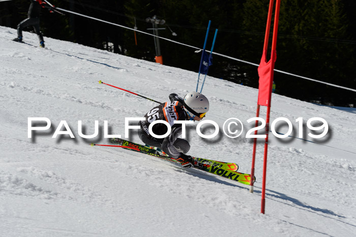 Ziener Cup WF,Finale, Quali + PSL, 30.03.2019
