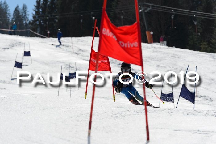 Ziener Cup WF,Finale, Quali + PSL, 30.03.2019