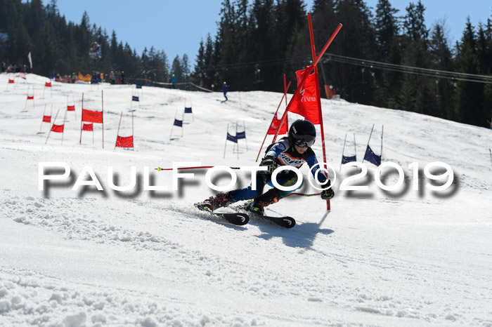 Ziener Cup WF,Finale, Quali + PSL, 30.03.2019