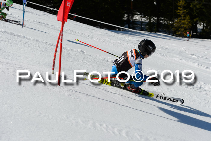 Ziener Cup WF,Finale, Quali + PSL, 30.03.2019
