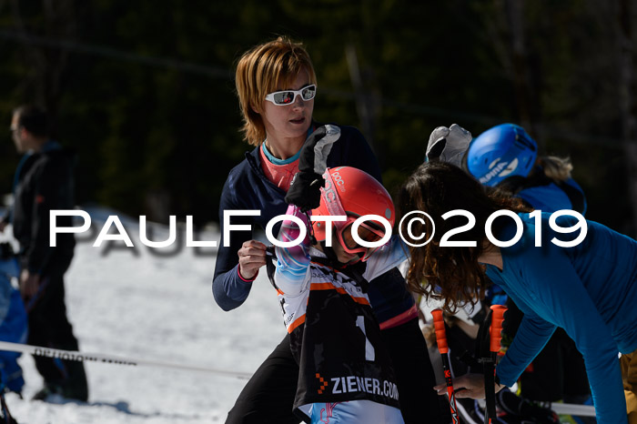 Ziener Cup WF,Finale, Quali + PSL, 30.03.2019