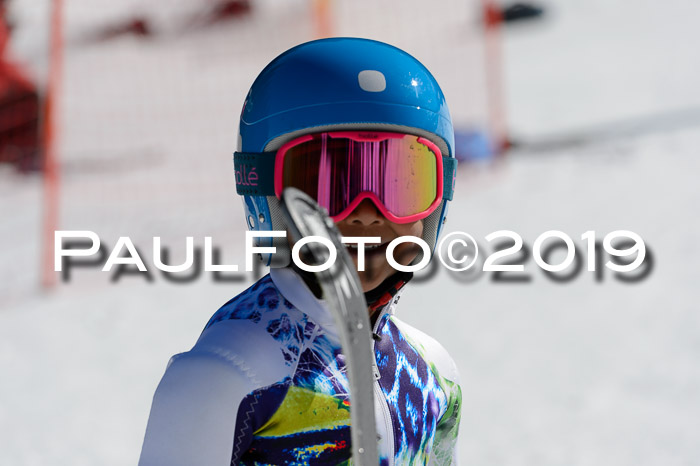 Ziener Cup WF,Finale, Quali + PSL, 30.03.2019