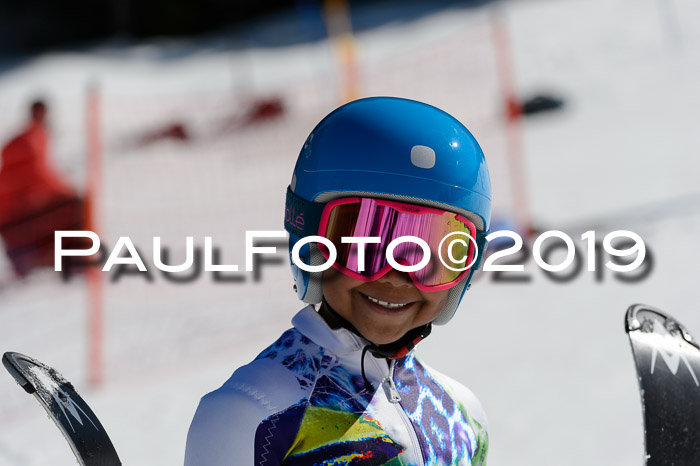 Ziener Cup WF,Finale, Quali + PSL, 30.03.2019
