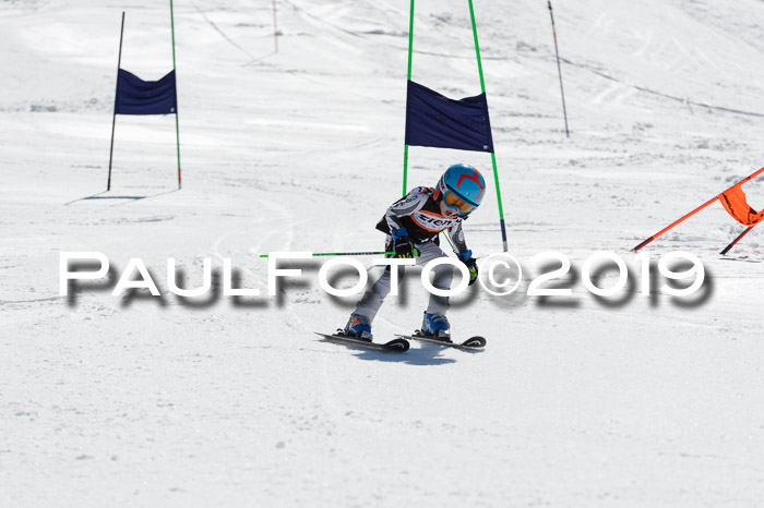 Ziener Cup WF,Finale, Quali + PSL, 30.03.2019