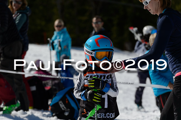 Ziener Cup WF,Finale, Quali + PSL, 30.03.2019