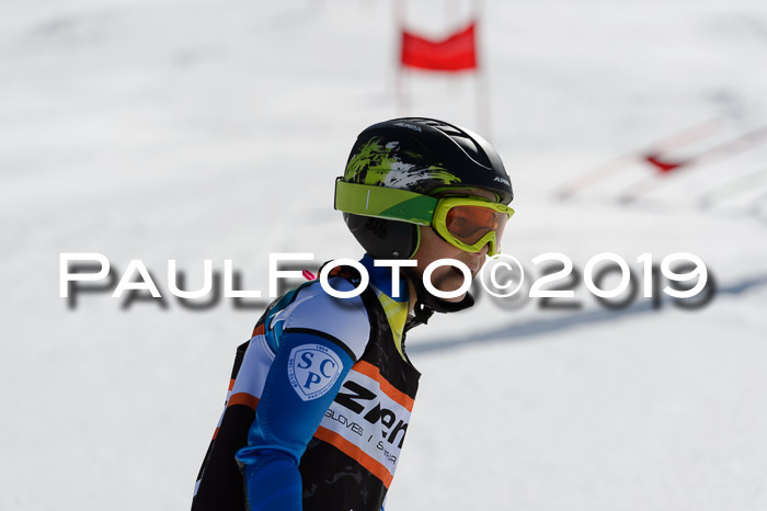 Ziener Cup WF,Finale, Quali + PSL, 30.03.2019
