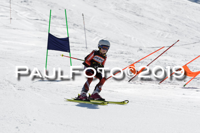 Ziener Cup WF,Finale, Quali + PSL, 30.03.2019