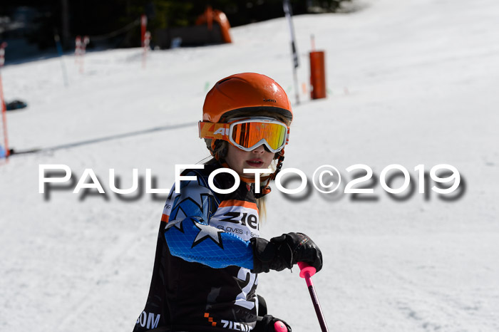 Ziener Cup WF,Finale, Quali + PSL, 30.03.2019
