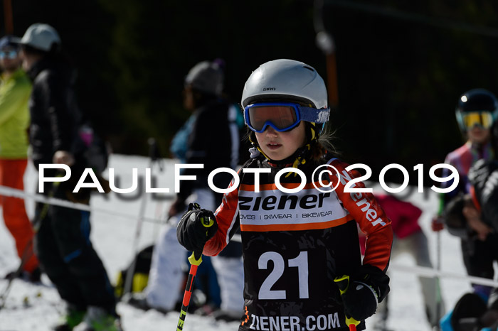 Ziener Cup WF,Finale, Quali + PSL, 30.03.2019