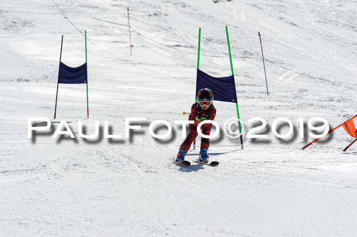 Ziener Cup WF,Finale, Quali + PSL, 30.03.2019