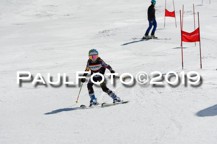 Ziener Cup WF,Finale, Quali + PSL, 30.03.2019