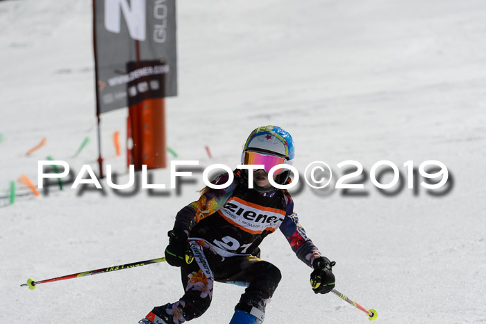 Ziener Cup WF,Finale, Quali + PSL, 30.03.2019