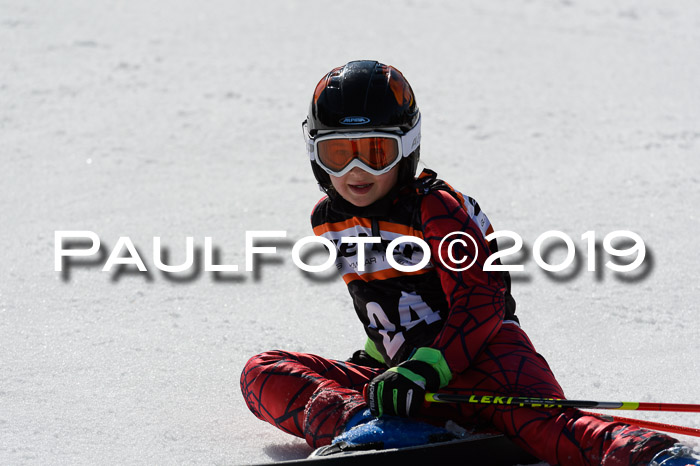 Ziener Cup WF,Finale, Quali + PSL, 30.03.2019