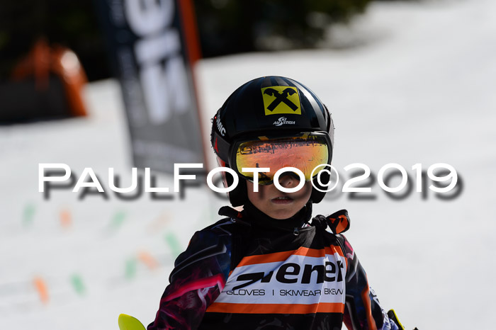 Ziener Cup WF,Finale, Quali + PSL, 30.03.2019