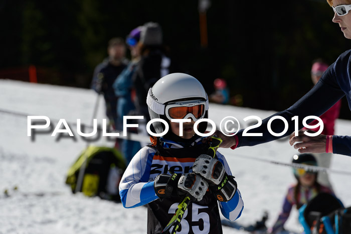 Ziener Cup WF,Finale, Quali + PSL, 30.03.2019