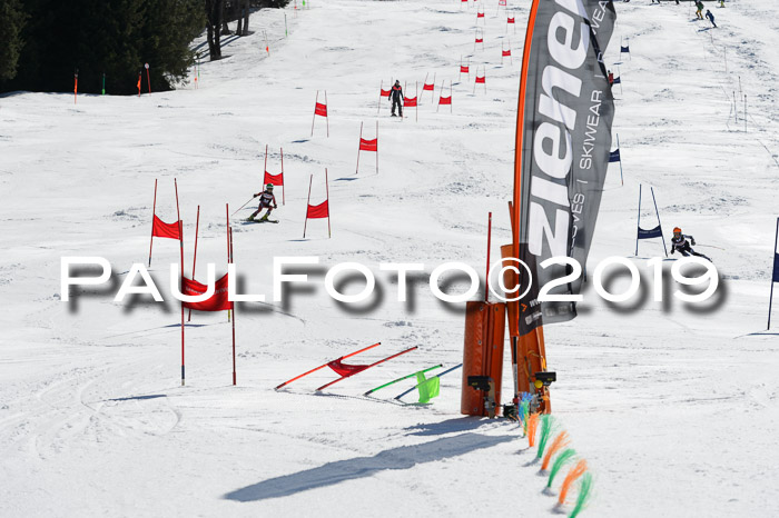 Ziener Cup WF,Finale, Quali + PSL, 30.03.2019