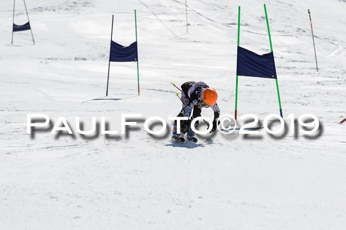 Ziener Cup WF,Finale, Quali + PSL, 30.03.2019