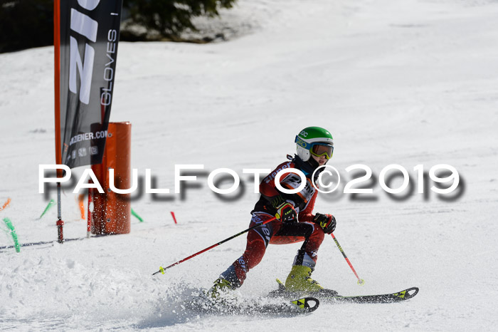 Ziener Cup WF,Finale, Quali + PSL, 30.03.2019