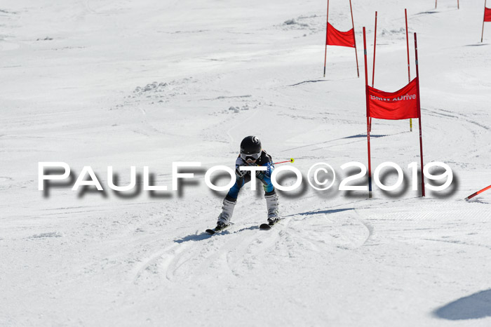 Ziener Cup WF,Finale, Quali + PSL, 30.03.2019