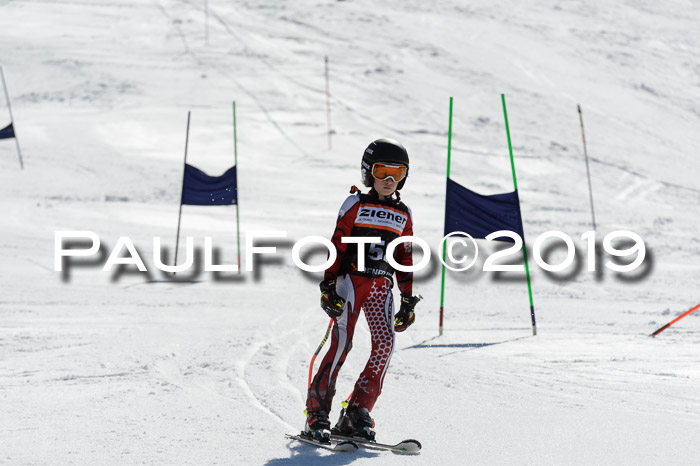 Ziener Cup WF,Finale, Quali + PSL, 30.03.2019
